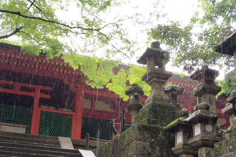 奈良：雾霭中与鹿共行的神圣晨间漫步奈良：雾中与鹿共行的神圣晨间漫步