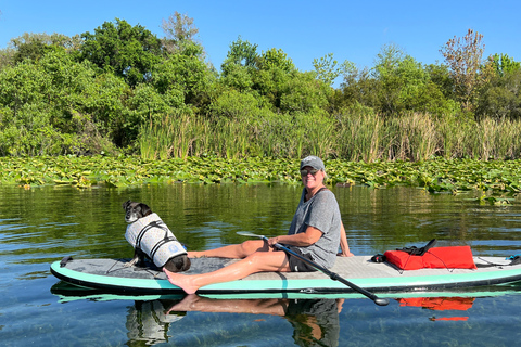 Orlando: Paddle with Pups in Paradise - Paddleboard or Kayak Paddle with Pups