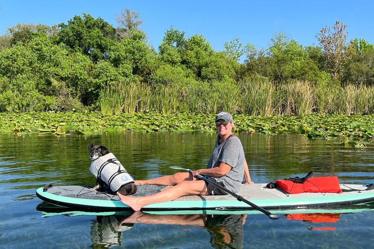 Orlando: Paddle with Pups in Paradise - Paddleboard or Kayak Paddle with Pups