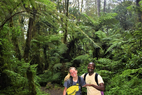 Cascate di Materuni, tour del caffè e sorgenti termali di Chemka: Gita di un giorno