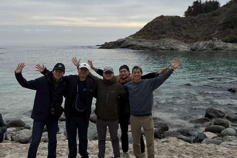 From Santiago: Papudo Horseback Ride & Penguin Watching
