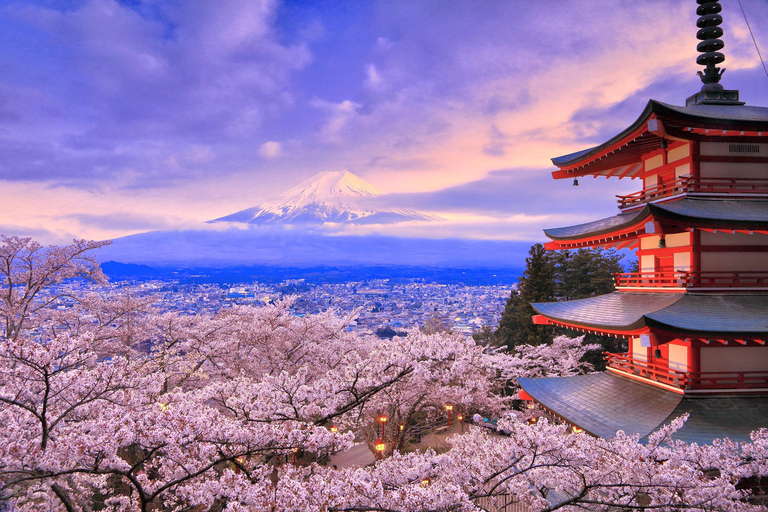 Tokyo: Mt. Fuji & Lake Kawaguchi Small Group Tour - 6 Spots Hotel Pickup Option