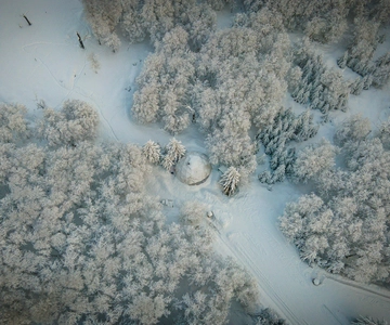 Bariloche Winter Park: Escursione guidata sulla neve con le racchette da neve