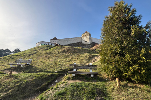 Brașov: Bran Castle, Bear Sanctuary, & Râșnov Citadel Tour