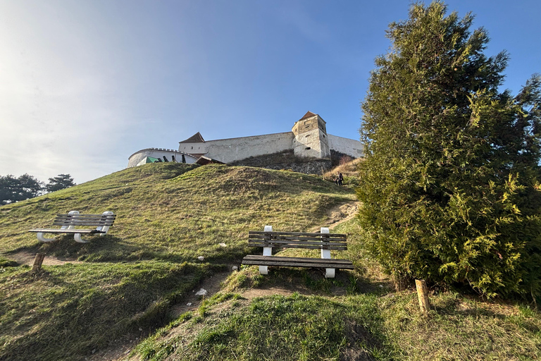 Brașov: Bran Castle, Bear Sanctuary, & Râșnov Citadel Tour