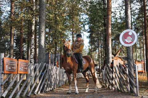 Rovaniemi: Late Night Ride with Finnhorses