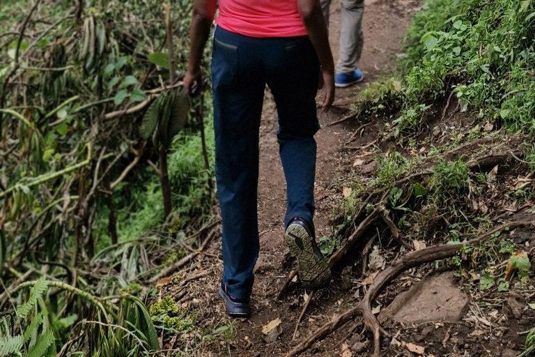 Moshi: Materuni Waterfalls & Coffee Tour with Local Lunch Materuni Waterfalls & Coffee Experience with local Lunch