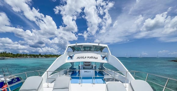 Punta Cana: Exclusive Private Catamaran Tour to Saona Island – VIP Service