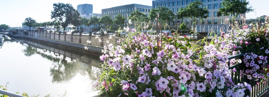 Mulhouse : Promenade express avec un habitant en 60 minutes