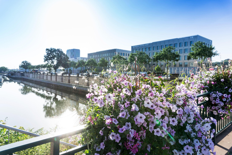 Mulhouse: Express-Spaziergang mit einem Einheimischen in 60 Minuten120 min - Private Tour