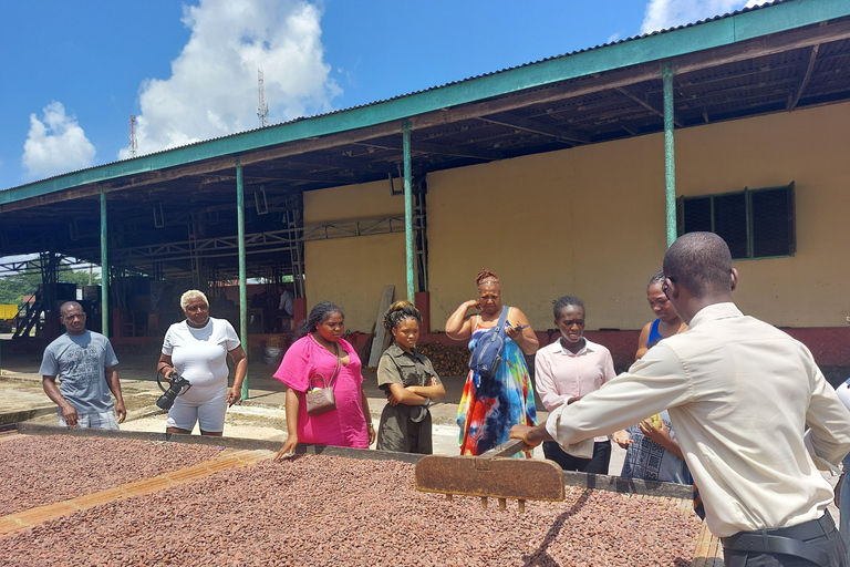 Accra: tour della piantagione di cacao e della fabbrica di cioccolato con pick-upAccra: tour di una piantagione di cacao e di una fabbrica di cioccolato con servizio di trasferimen