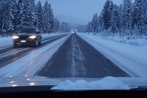 Traslado privado del Aeropuerto de Banff/Canmore a Calgary o YYCPaseo en coche de lujo