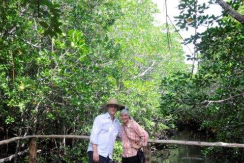 Od dżungli do Stone Town: ucieczka na Zanzibar, pełna przyrody i dziedzictwaWycieczka obejmuje Odbiór z hotelu i transport powrotny