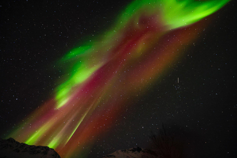 Tromsø: Tour dell&#039;aurora boreale con fotografia (cinese)