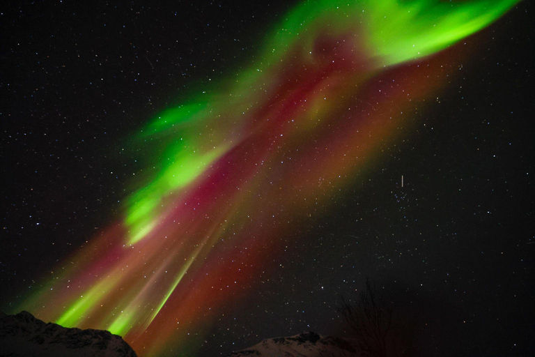 Tromsö: Norrskenstur med fotografering (kinesiska)