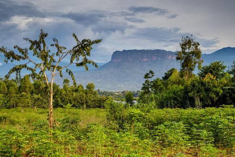 2 Day on Mount Elgon Hiking & Nature Walk Experience