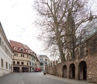 Eisleben, privé geleide wandeltocht - Housity