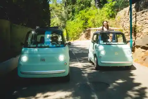 From Nice: Follow a guide in an electric car along the French Riviera!