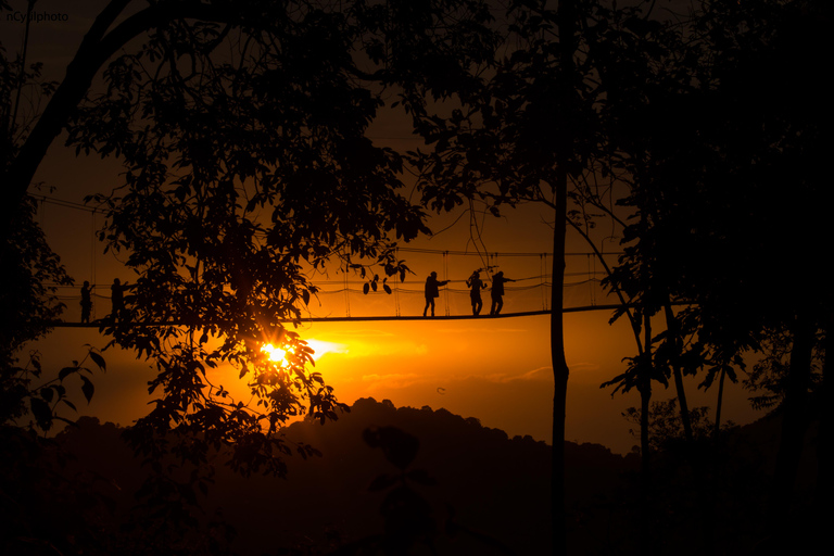 Tour de 1 día por la pasarela de copas de los árboles de Nyungwe