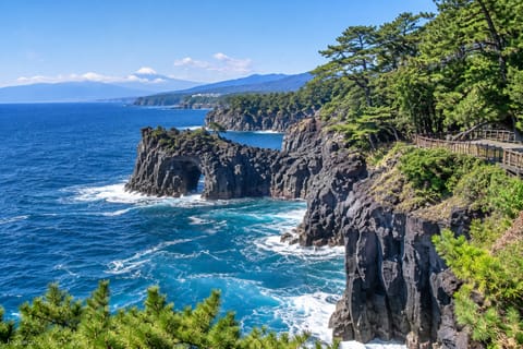 Izu: Volcano, Pacific Coast & Authentic Japan Private Tour