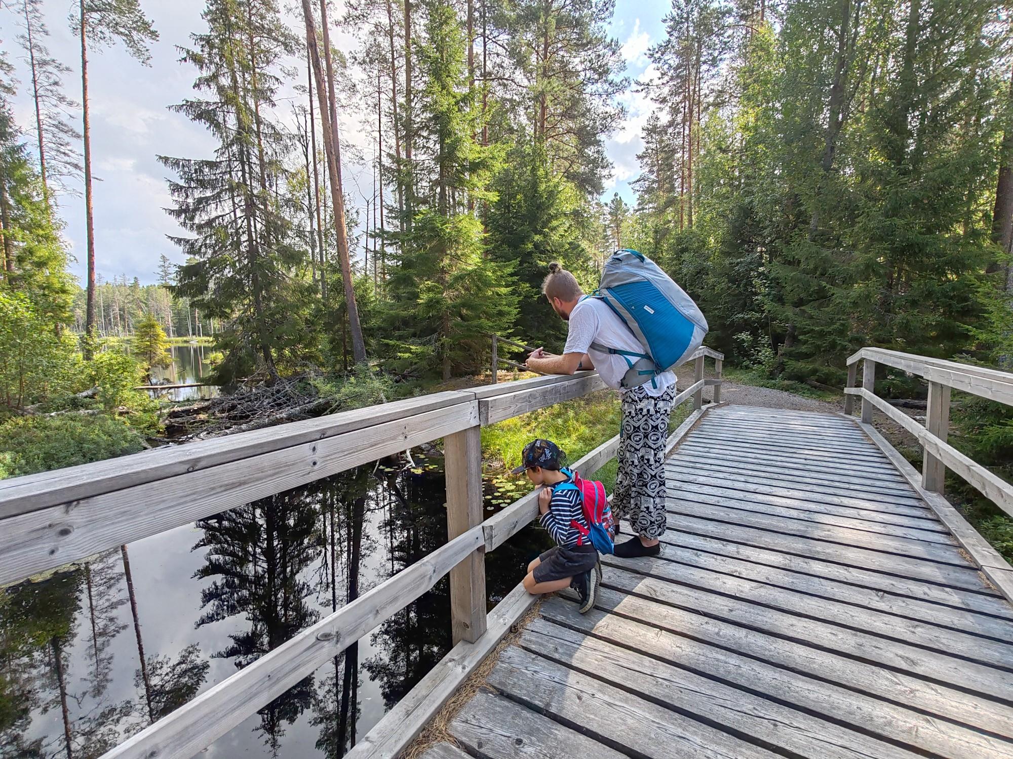 Tampere: Seitseminen-Nationalpark – Geführte Wanderung mit Mittagessen