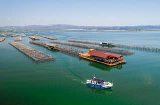 Ebro-Delta: Bootsfahrt zu einer Muschel- und Austernfarm