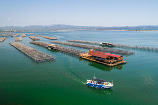 Ebro Delta: Boat Trip to a Mussels and Oyster Farm