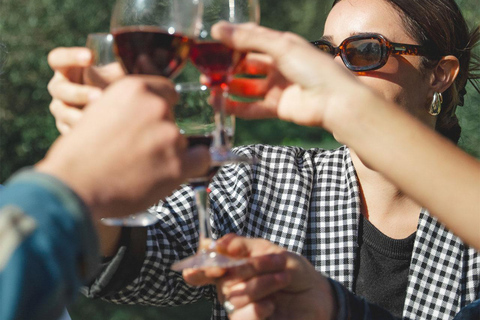 Béziers : Visites et dégustations de vins