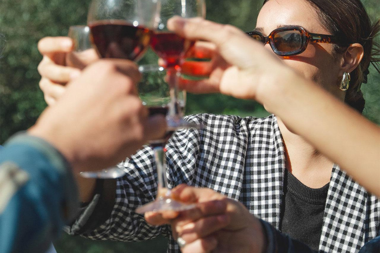 Béziers : Visites et dégustations de vins