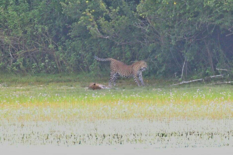 Colombo:Anuradhapura & Wilpattu Safari All Inclusive Tour Colombo: Anuradhapura & Wilpattu Safari only Transportation