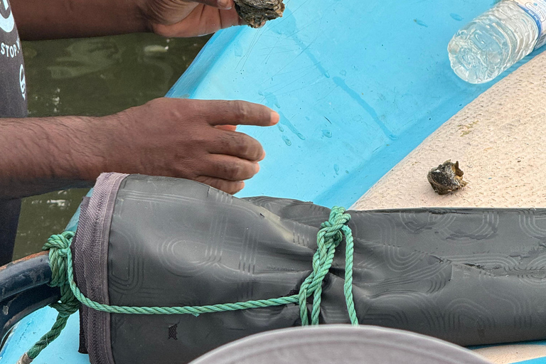 Tour en barco al atardecer por la laguna de Negombo y el canal holandésTour en barco por la laguna de Negombo y el canal holandés al atardecer