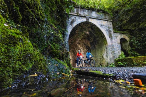 Remutaka Rail Trail eBike Explorer - Image 2