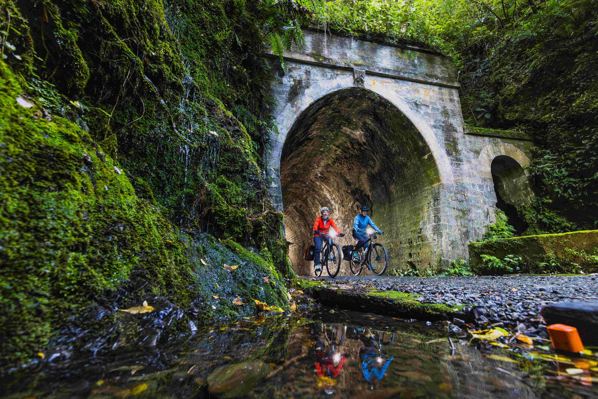Von Wellington aus: Remutaka Rail Trail eBike Tour