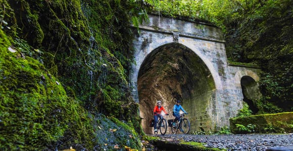 Wellington: Radtour auf dem Remutaka Rail Trail