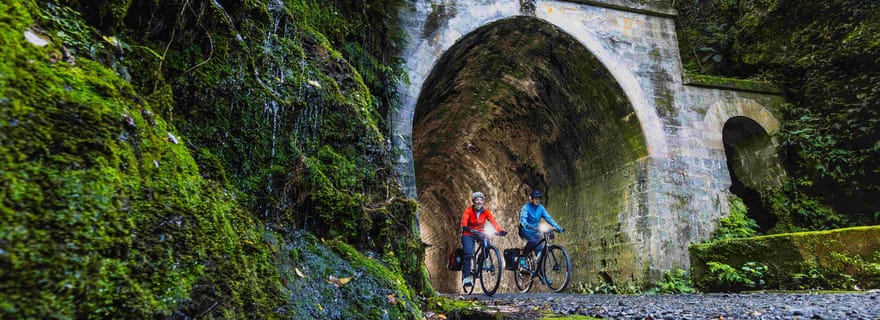 Remutaka Rail Trail eBike Excursion à terre pour les bateaux de croisière