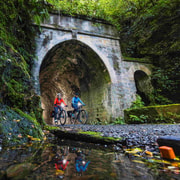 Remutaka Rail Trail eBike Explorer
