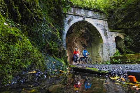 Remutaka Rail Trail eBike Explorer - Image 3