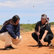 Carnarvon: Burrowing Bees Seasonal Walking Tour