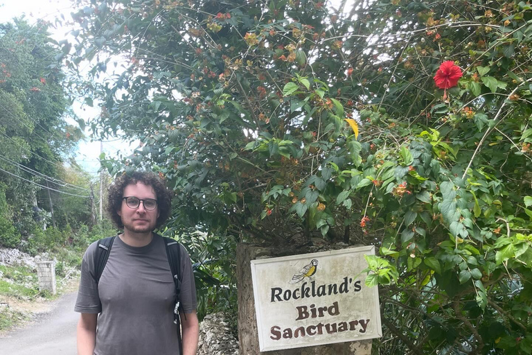 Visite privée du sanctuaire d&#039;oiseaux de RocklandDu Grand Palladium/ Lady Hamilton