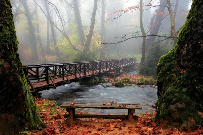 Z Salonik: Vergina, Agios Nikolaos i EdessaZ Salonik: Wergina, Agios Nikolaos i Edessa