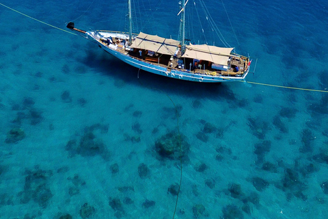 Fiji: Captain Cook Cruises - Day and Dinner Combo