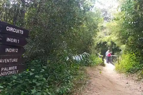 Madagaskar: Indri Lemur Encounter Experience 4-tägige Reise