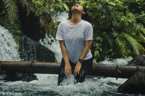 Medellín: Jungle Trekking, Waterfall Swim, & Coffee Tour