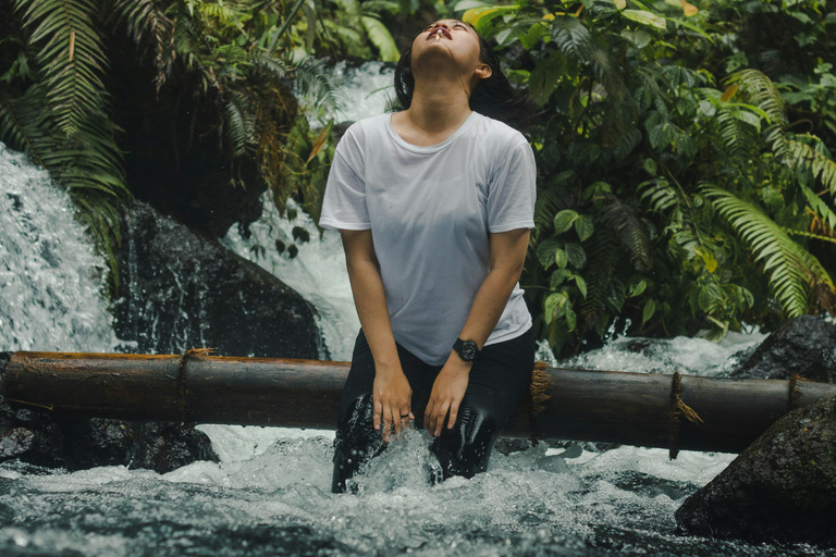 Medellín: Jungle Trekking, Waterfall Swim, & Coffee Tour