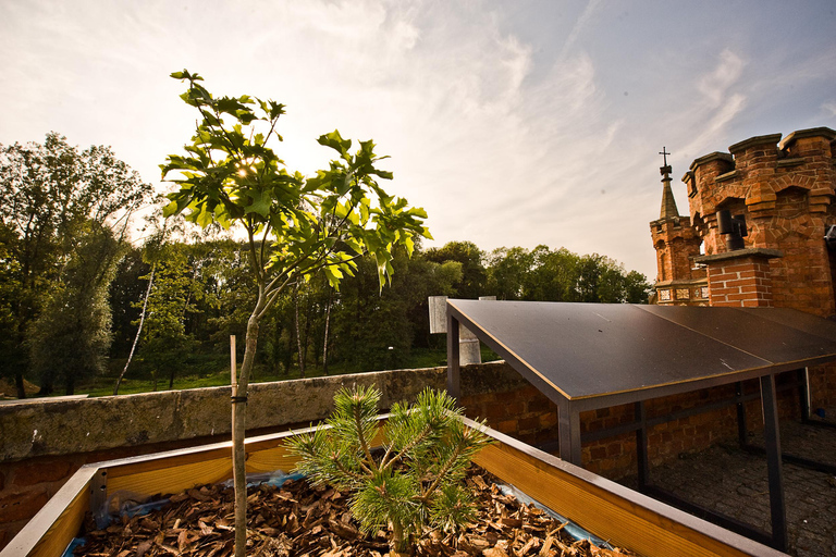 Kraków: Kościuszko Mound Skip-the-Line Entry Ticket