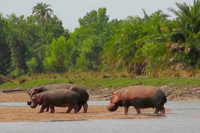 Addis Abeba: wycieczka do kościoła Chebera Churchura i Parku Narodowego MazeAddis Abeba: Wycieczka do kościoła Chebera Churchura i Parku Narodowego Maze