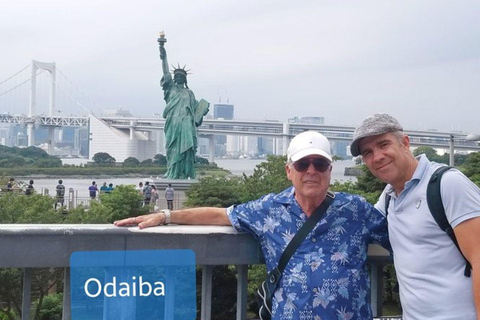 Tokyo : Must-see attractions private tour8 Hours Private Walking Tour