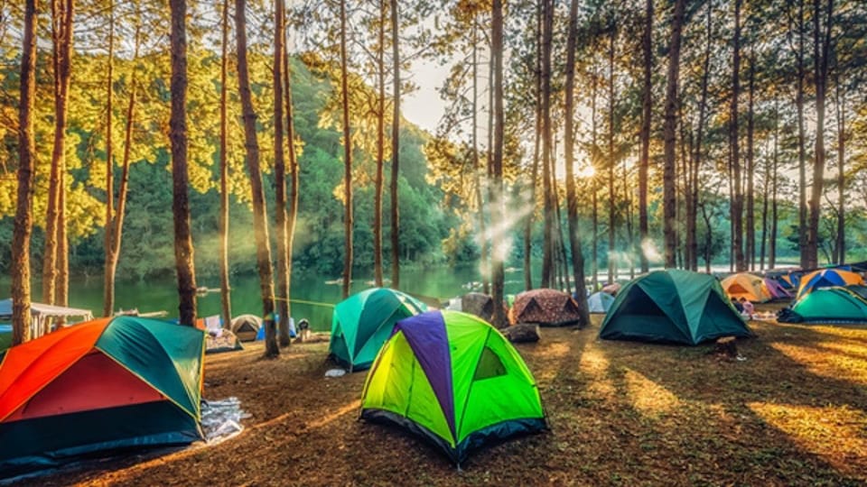Full-Day Sapanca & Kartepe Adventure with Activities - Hizvo