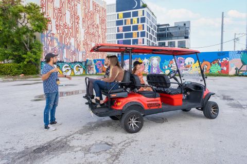 Miami: Streetart-Tour im Golfcart durch Wynwood