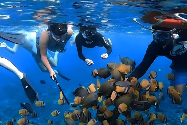 From Bali: Nusa Penida Snorkeling and Sightseeing Day Trip